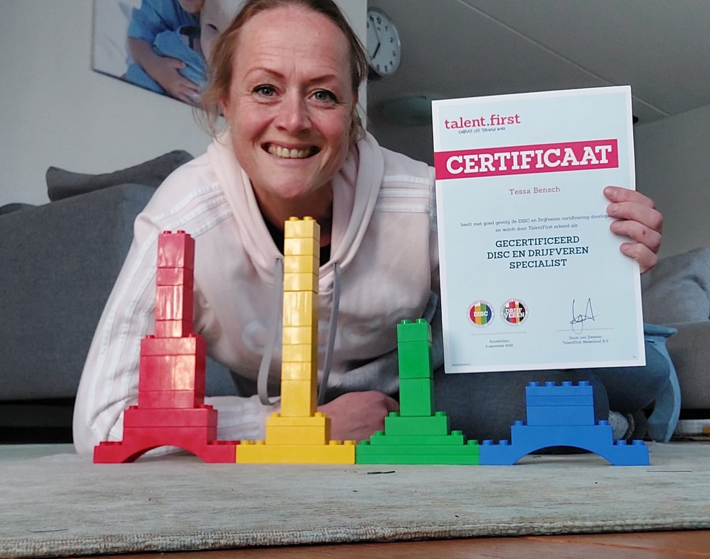 disc profiel grenzen