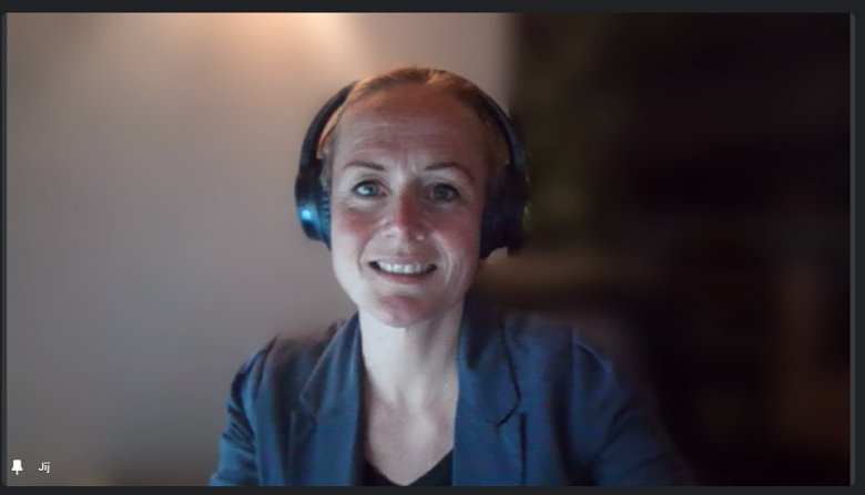 online systemisch coachen