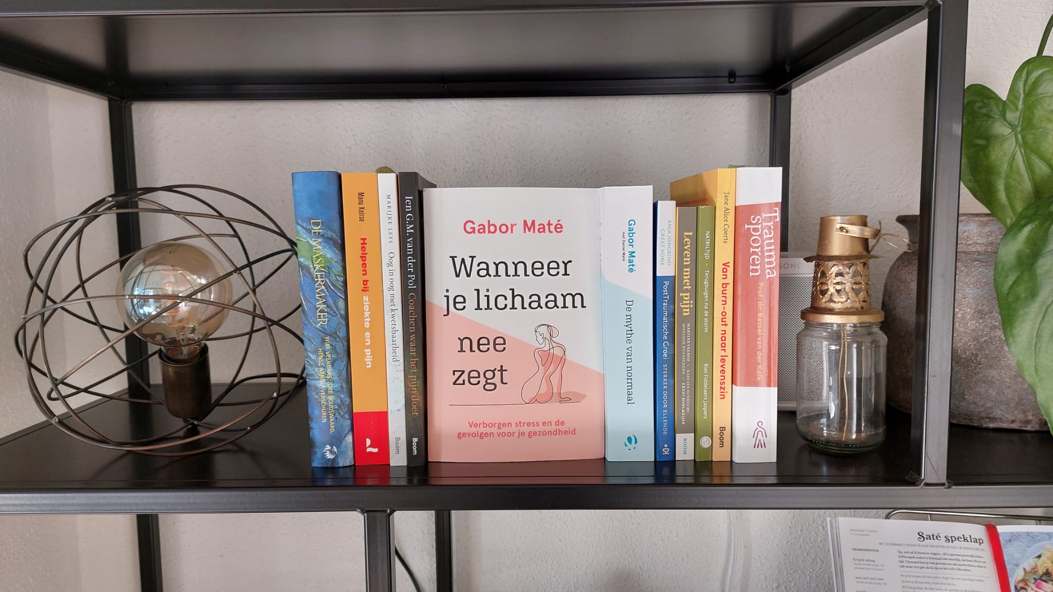 Boektip: Wanneer je lichaam nee zegt - Mindful Motion Studio