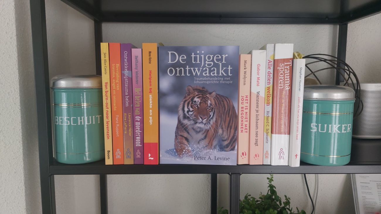 De eindeloze zoektocht naar verlichting: Somatic experiencing bij